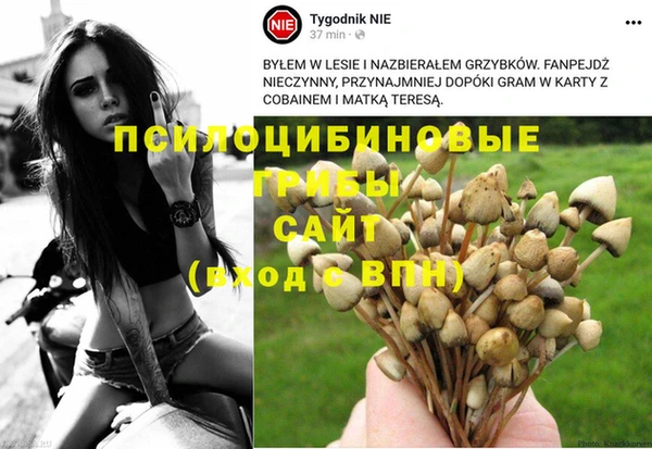прущие крисы Медвежьегорск