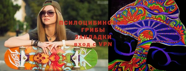 прущие крисы Медвежьегорск
