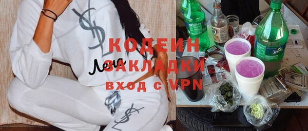 прущие крисы Медвежьегорск